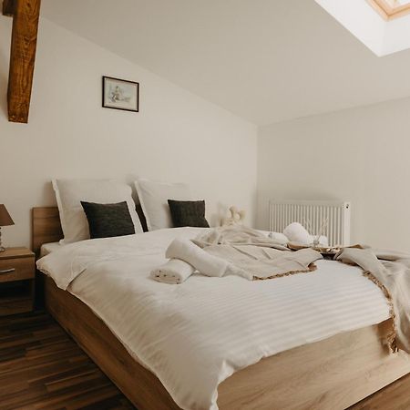 Holiday Apartments Central Temesvár Kültér fotó