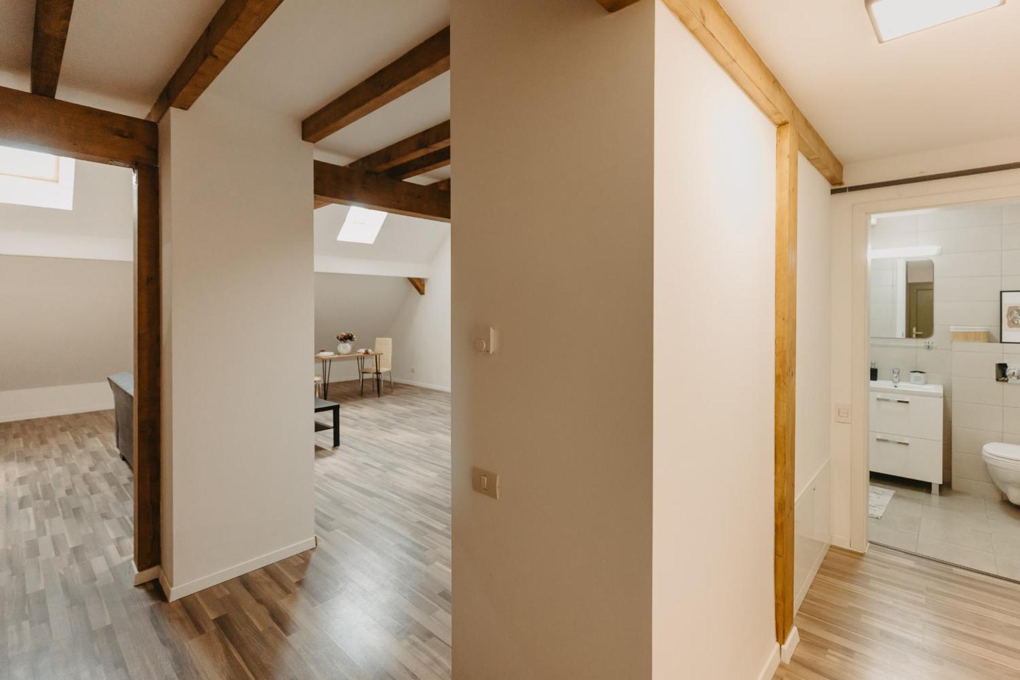 Holiday Apartments Central Temesvár Kültér fotó